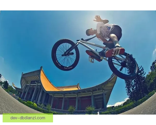 BMX数据分析：揭秘极限运动背后的数字密码