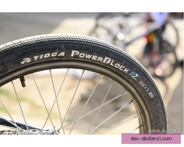 BMX比分查询：实时竞速数据更新