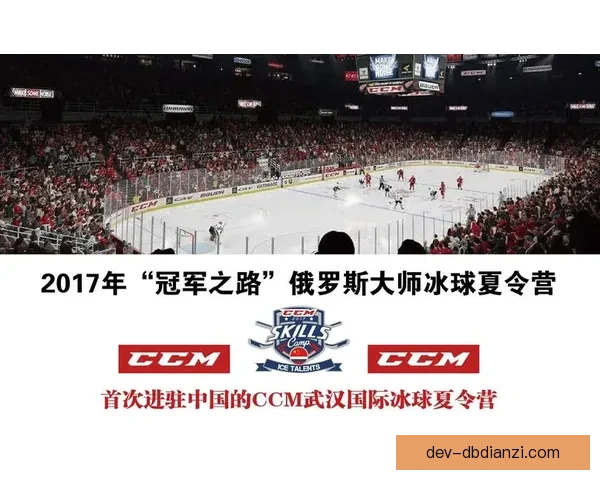冰球冠军的辉煌巅峰：探寻冠军之路