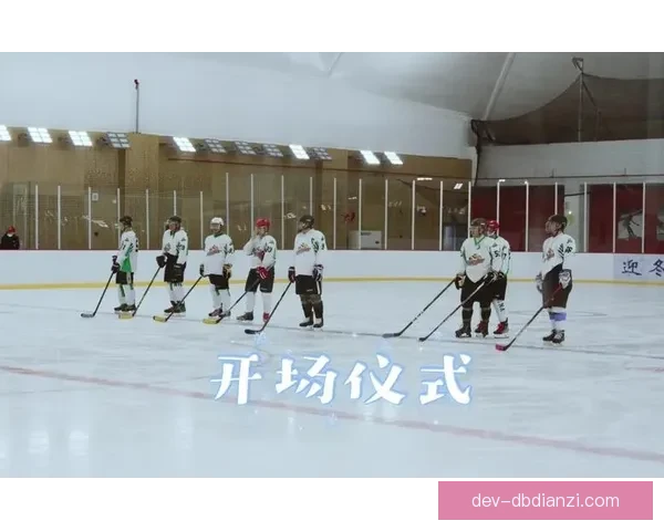 冰球投注技巧大揭秘：赛事分析、团队评估、实时数据利用