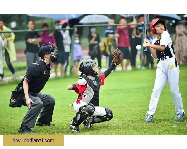 击球风云：棒球比赛带来的激烈对抗