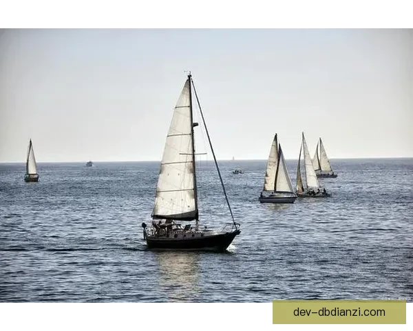 帆船世界纪录：挑战极限，追逐风与浪