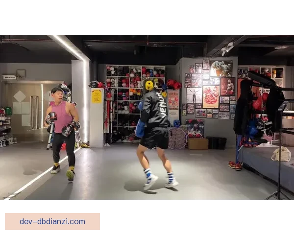 拳击训练新思路：提升实战技能，打造全方位强健身体