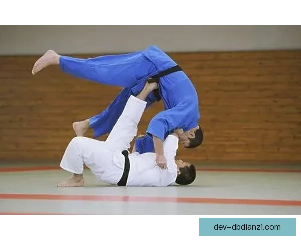 柔道对战策略与技巧的深度分析