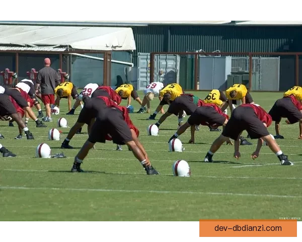 橄榄球数据解读：洞悉比赛胜负的关键统计信息