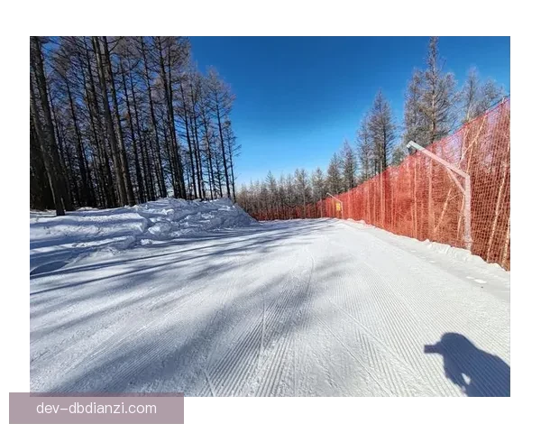 滑雪数据分析：挖掘雪场秘密，解读滑雪技术和趋势
