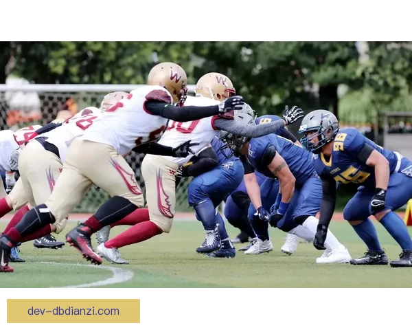 橄榄球联赛：新季即将启幕，豪门争霸再掀热潮