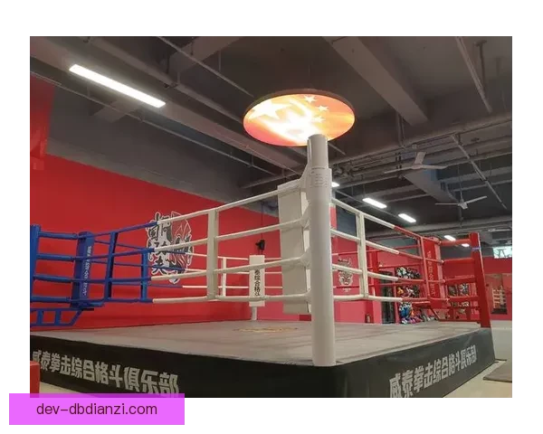 激战擂台：拳击邀请赛带来的激情对决