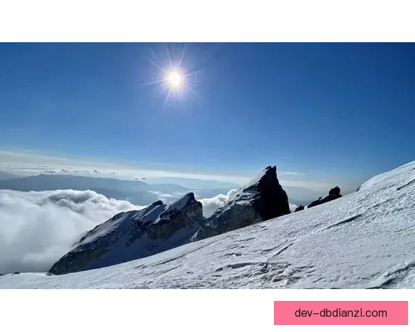 登山初学者入门指南:从准备到实践,一步步学习登山技巧 登山初学者入门指南:从准备到实践,一步步学习登山技巧