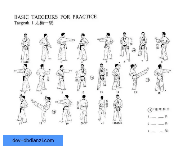 跆拳道初学者必知的技巧与注意事项