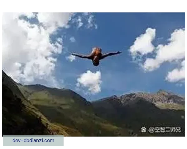 跳水联赛：优雅飞翔，挑战极限