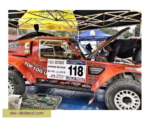 越野跑数据分析:解密越野跑者的训练与比赛关键数据 越野跑数据分析:解密越野跑者的训练与比赛关键数据