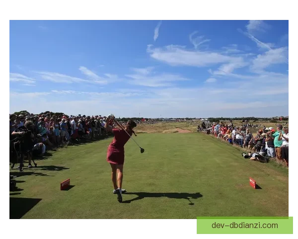 高尔夫公开赛：挑战巅峰 